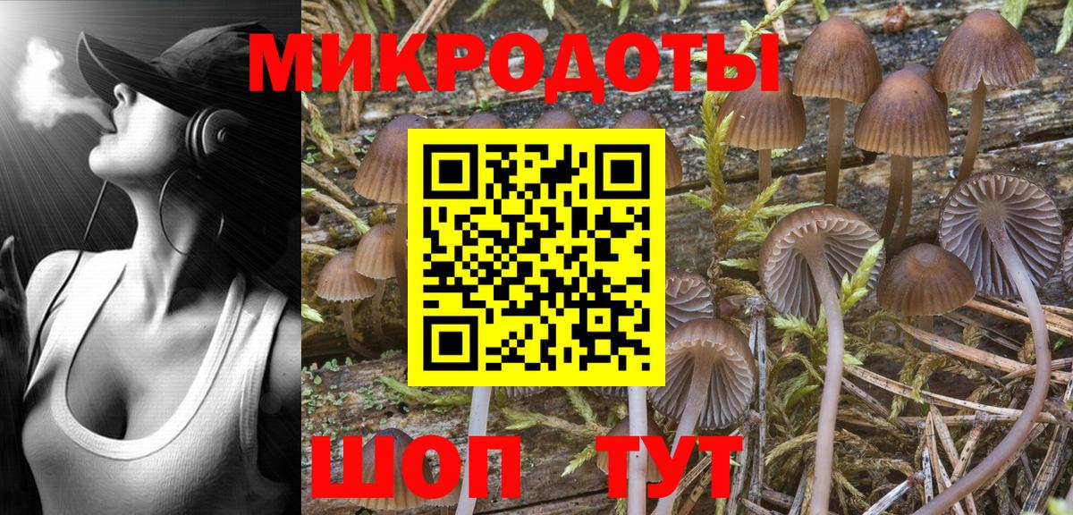 Галлюциногенные грибы Cubensis Славгород
