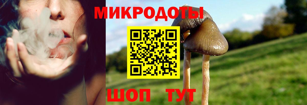 цена   Псилоцибиновые грибы Magic Shrooms  Вход с VPN  Славгород  Галлюциногенные грибы Psilocybine cubensis 