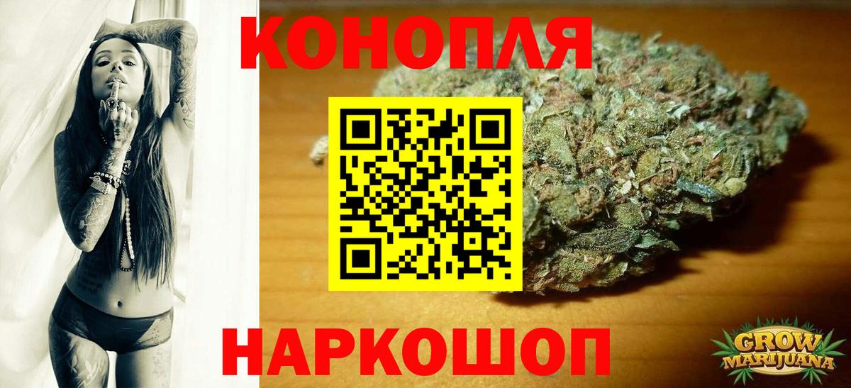Марихуана OG Kush Славгород